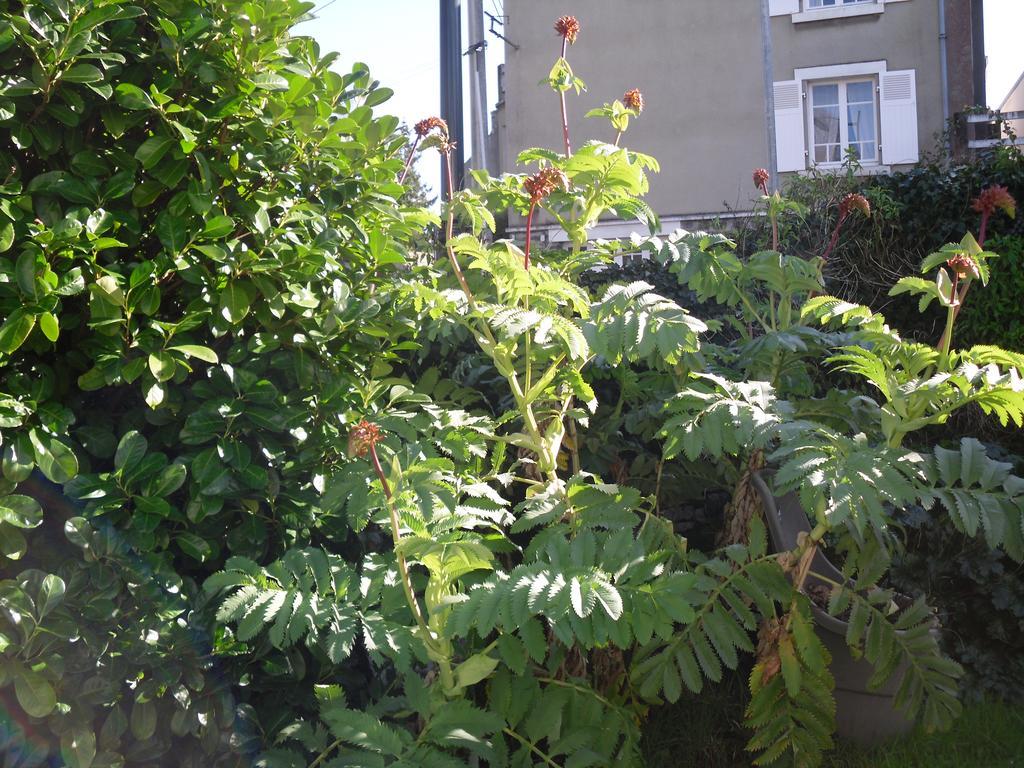 Appartement La Loob Gites De Daumesnil Etage Morlaix Quarto foto